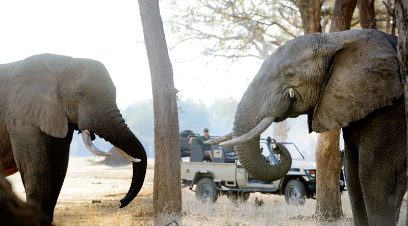 Chiawa Camp en Lower Zambezi