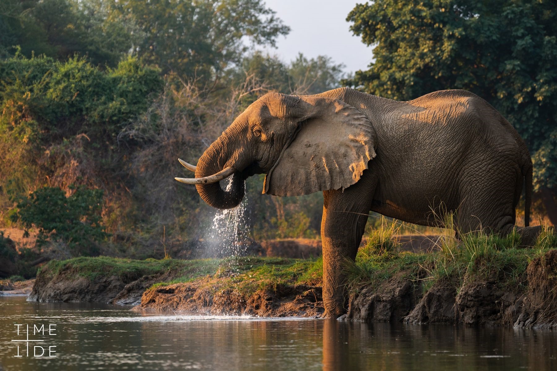 Chongwe Camp en Lower Zambezi