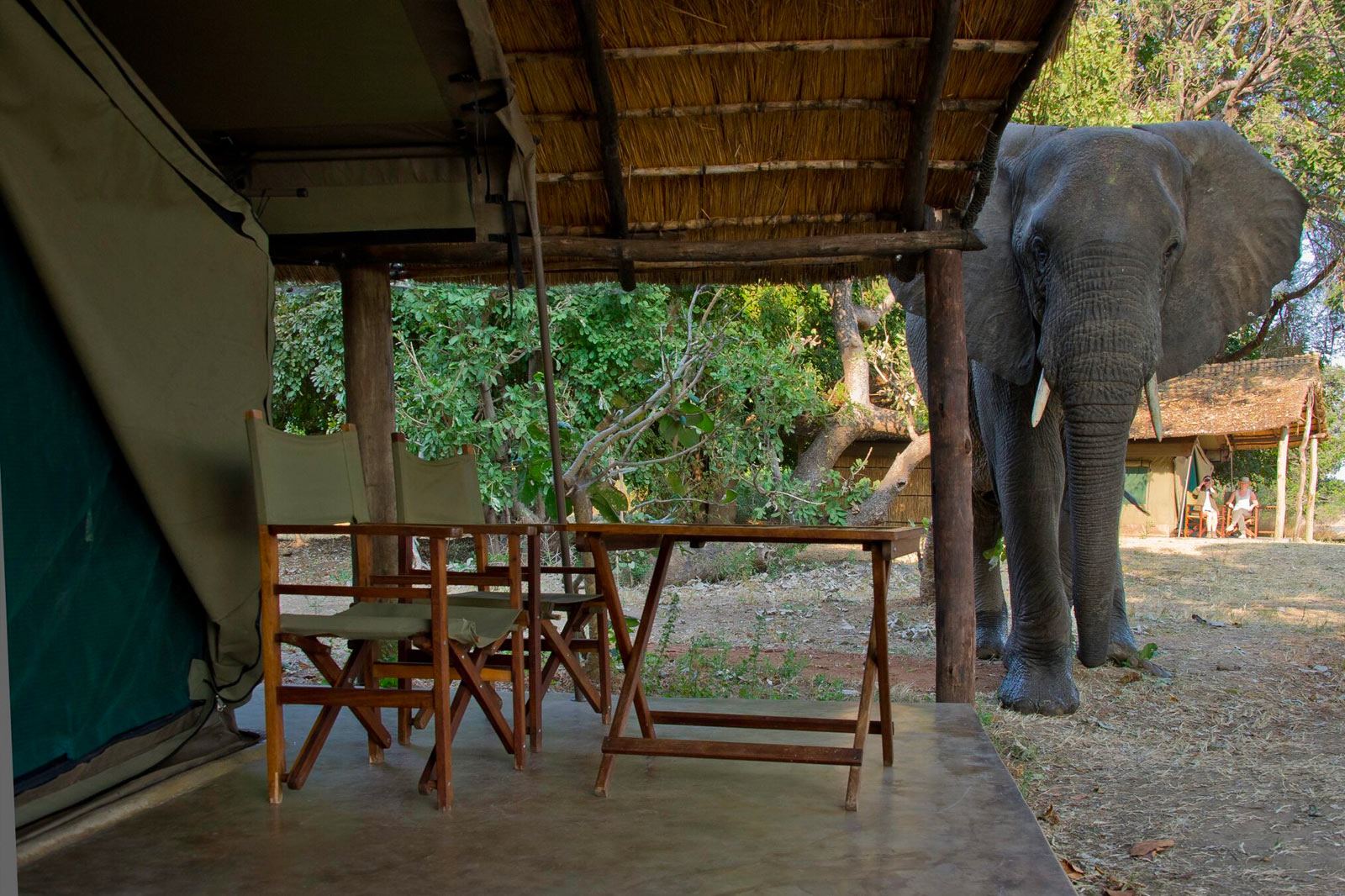 Flatdogs Camp en Luangwa Valley