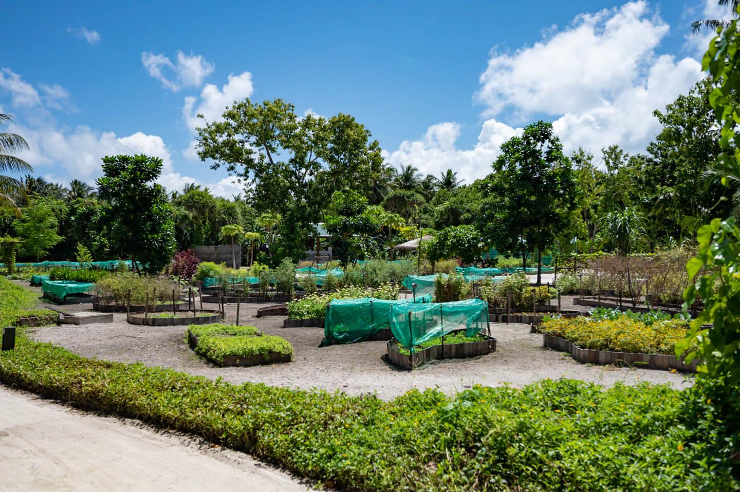 The Residence at Dhigurah en Gaafu Alifu Atoll
