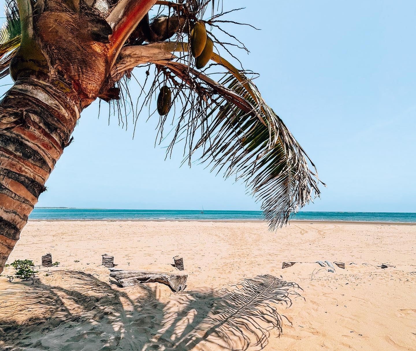 Che Sale en Kenia