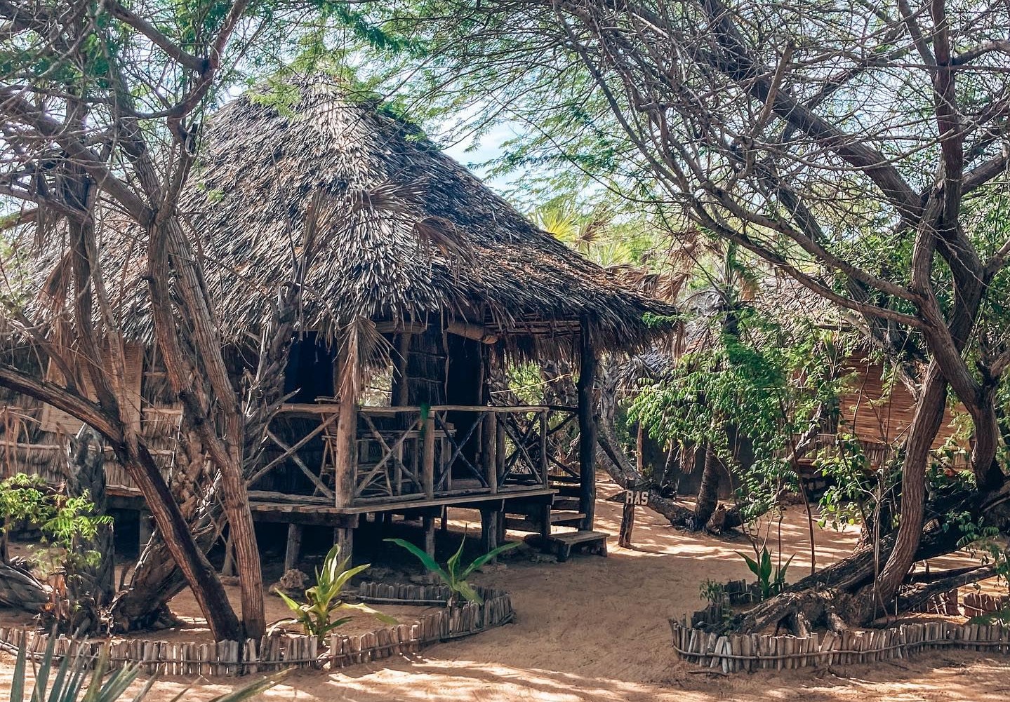 Che Sale en Kenia