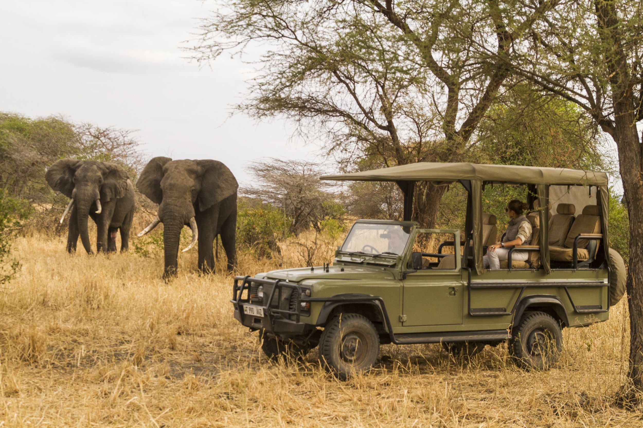 Chem Chem Lodge en Manyara