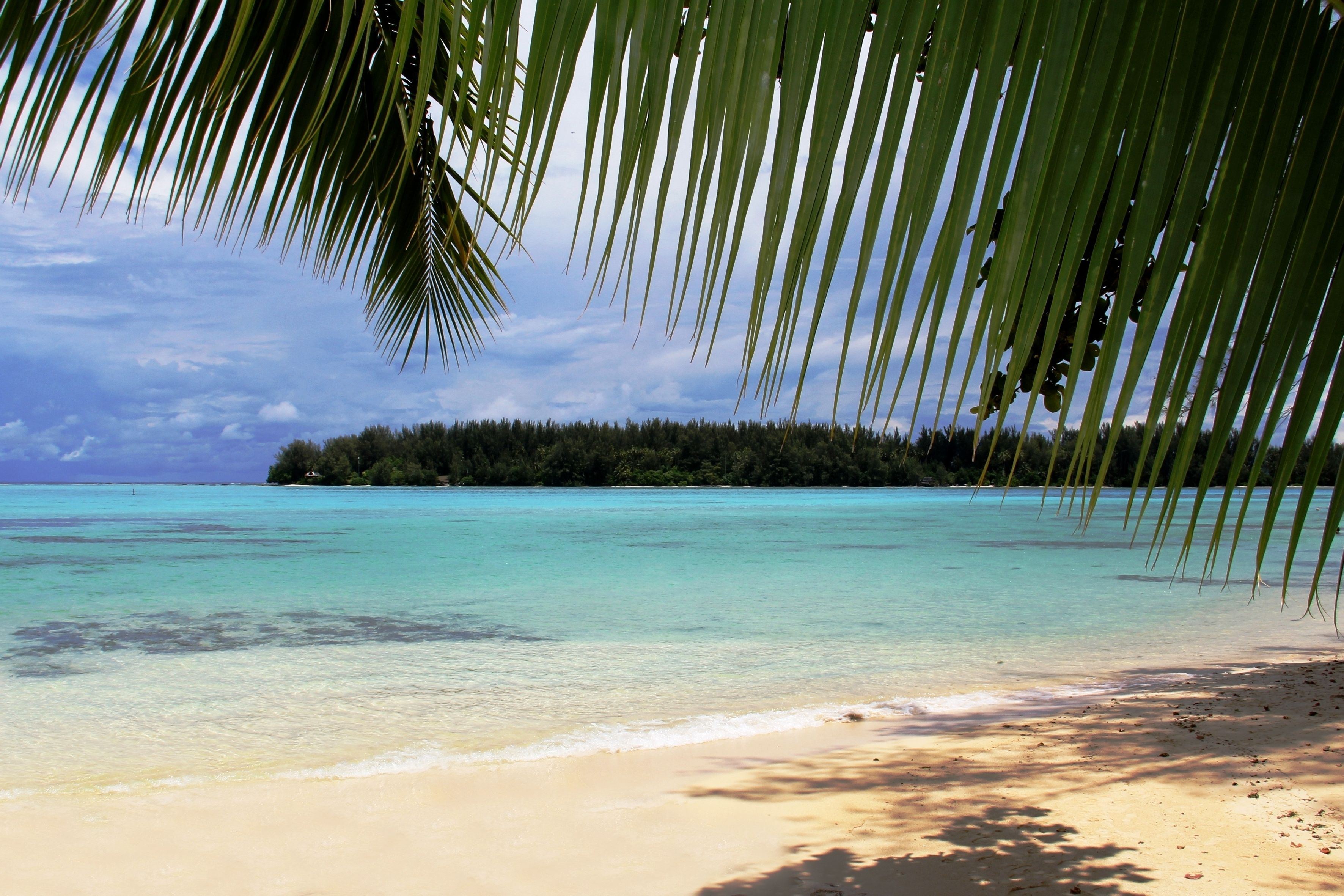 Hotel Hibiscus en Moorea
