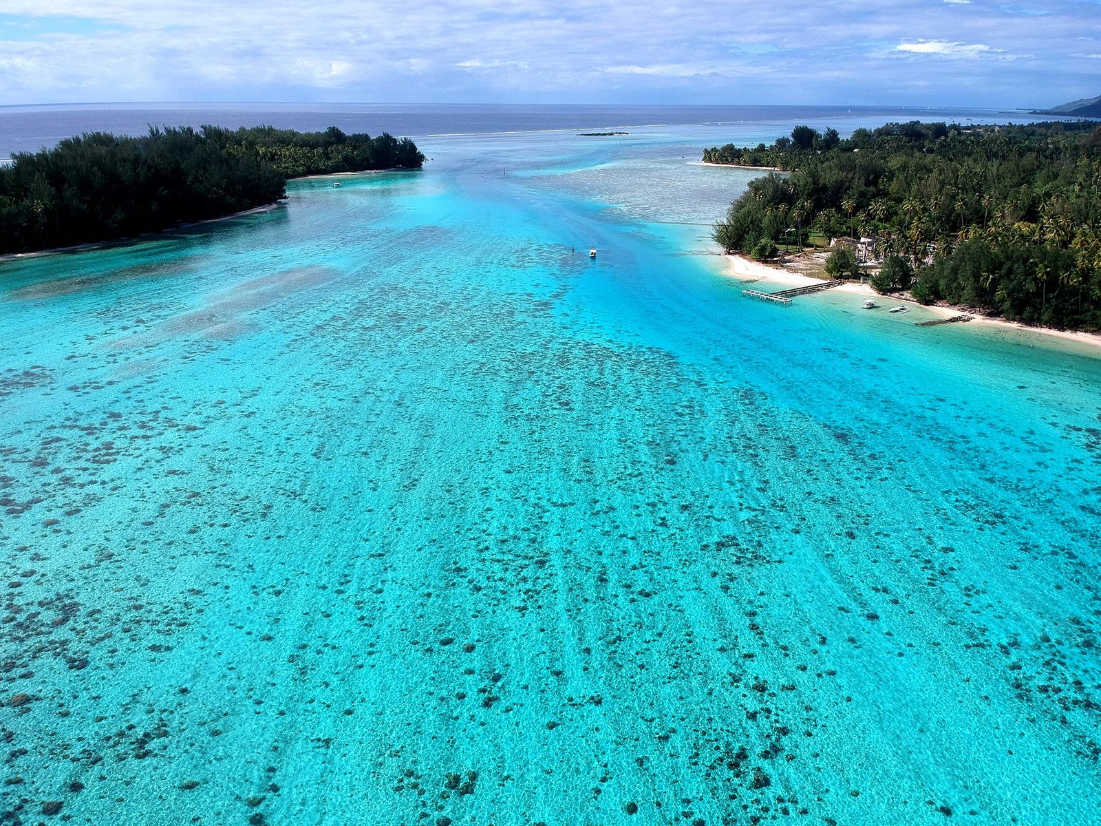 Moorea