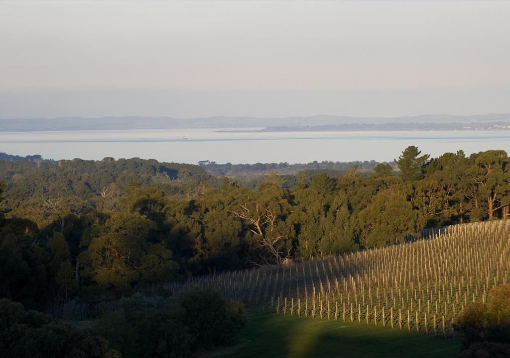 Port Phillip Estate en Mornington Peninsula