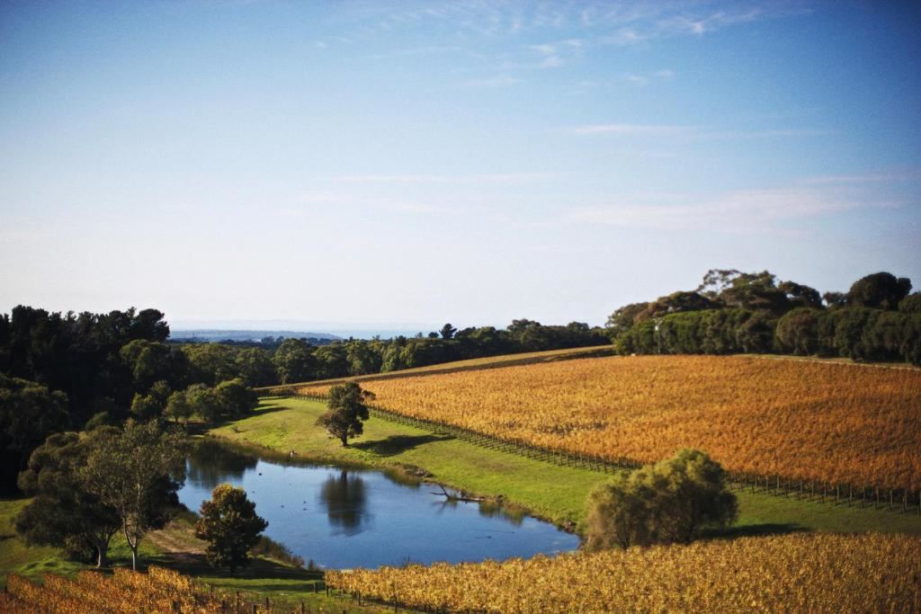 Port Phillip Estate en Mornington Peninsula