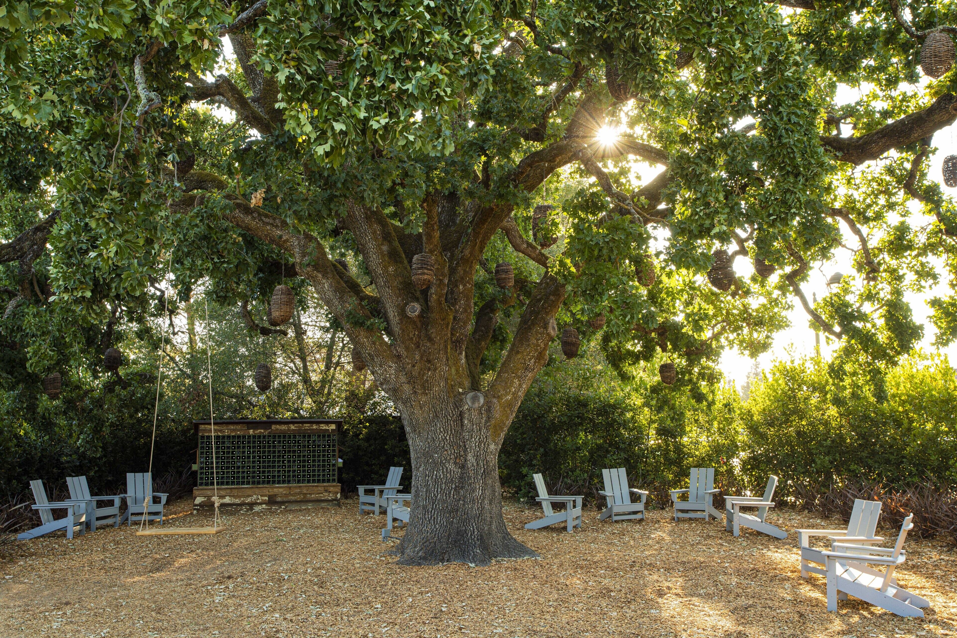 The Lodge at Sonoma Resort en Napa Valley