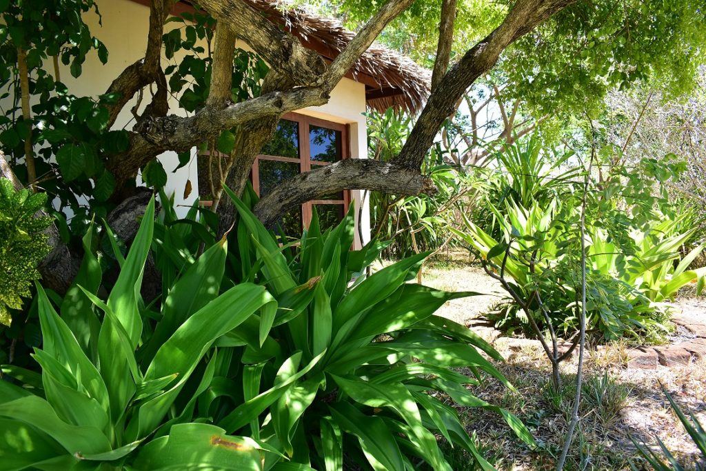 Chuiba Bay Lodge en Pemba