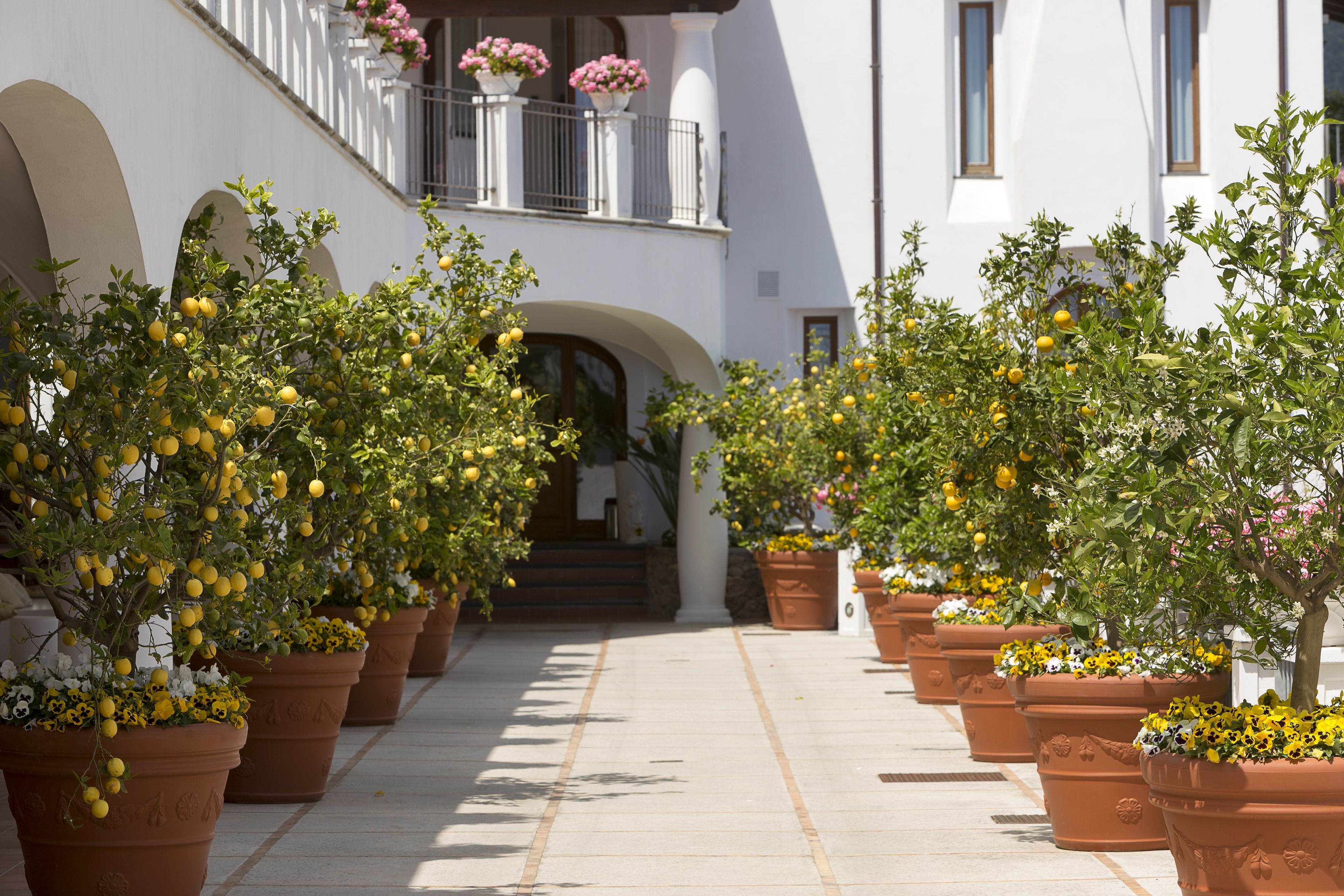 Villa Piedimonte en Ravello