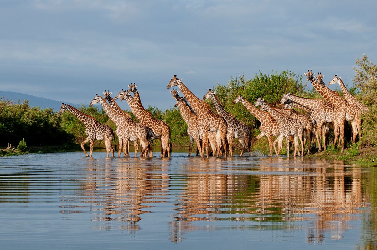 Roho Ya Selous en Selous Reserve