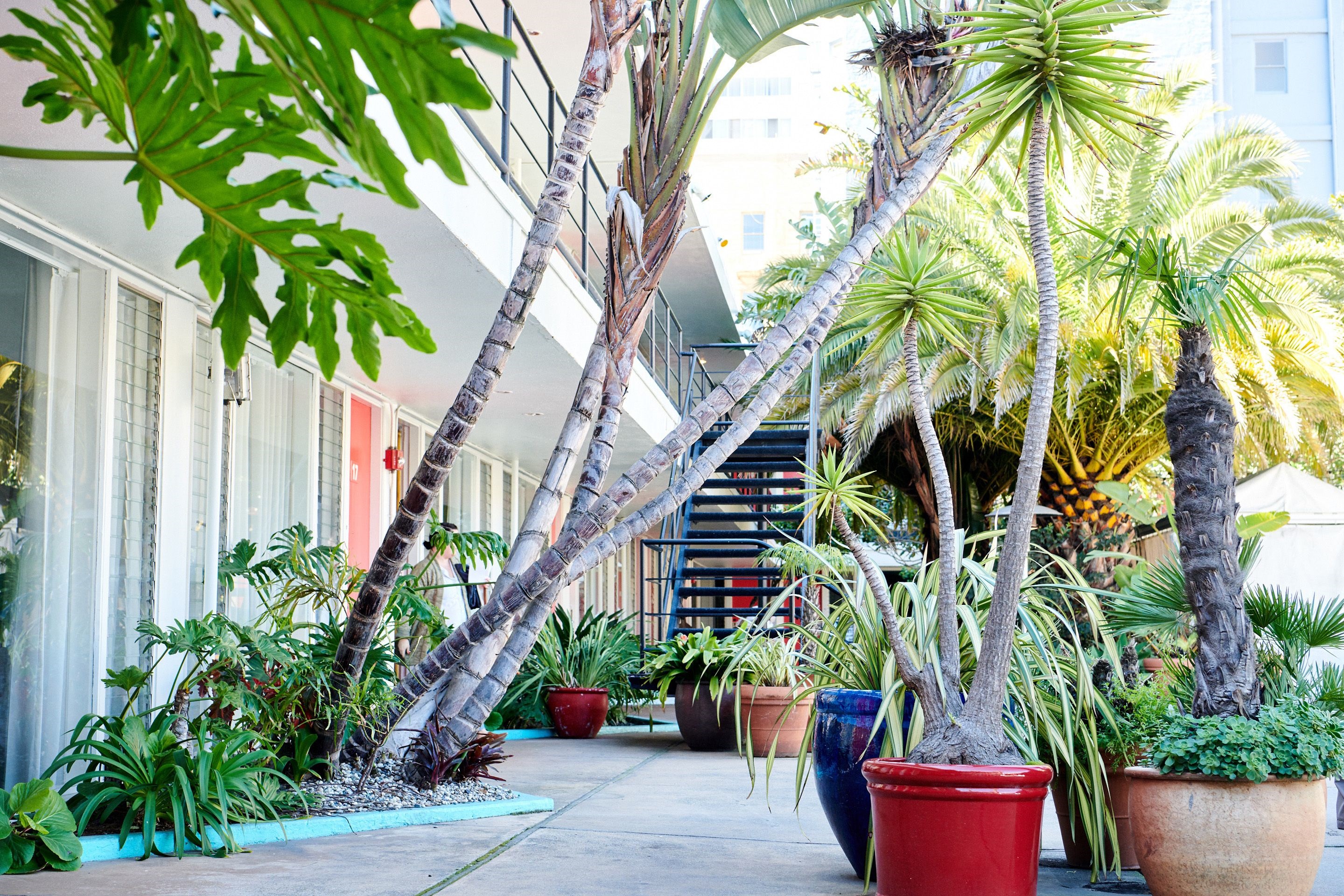 The Phoenix Hotel en San Francisco