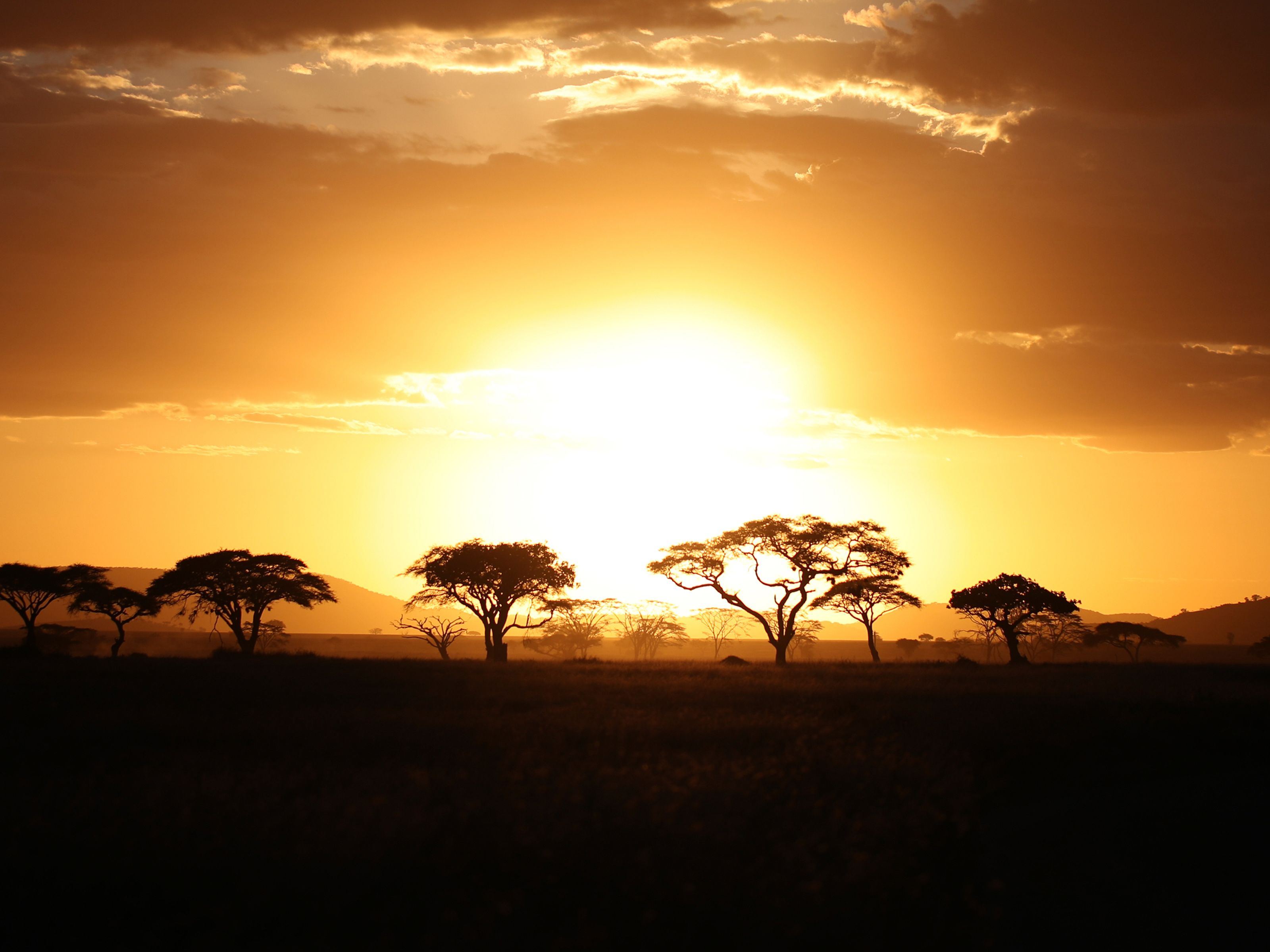 One Nature Nyaruswiga Serengeti en Serengeti