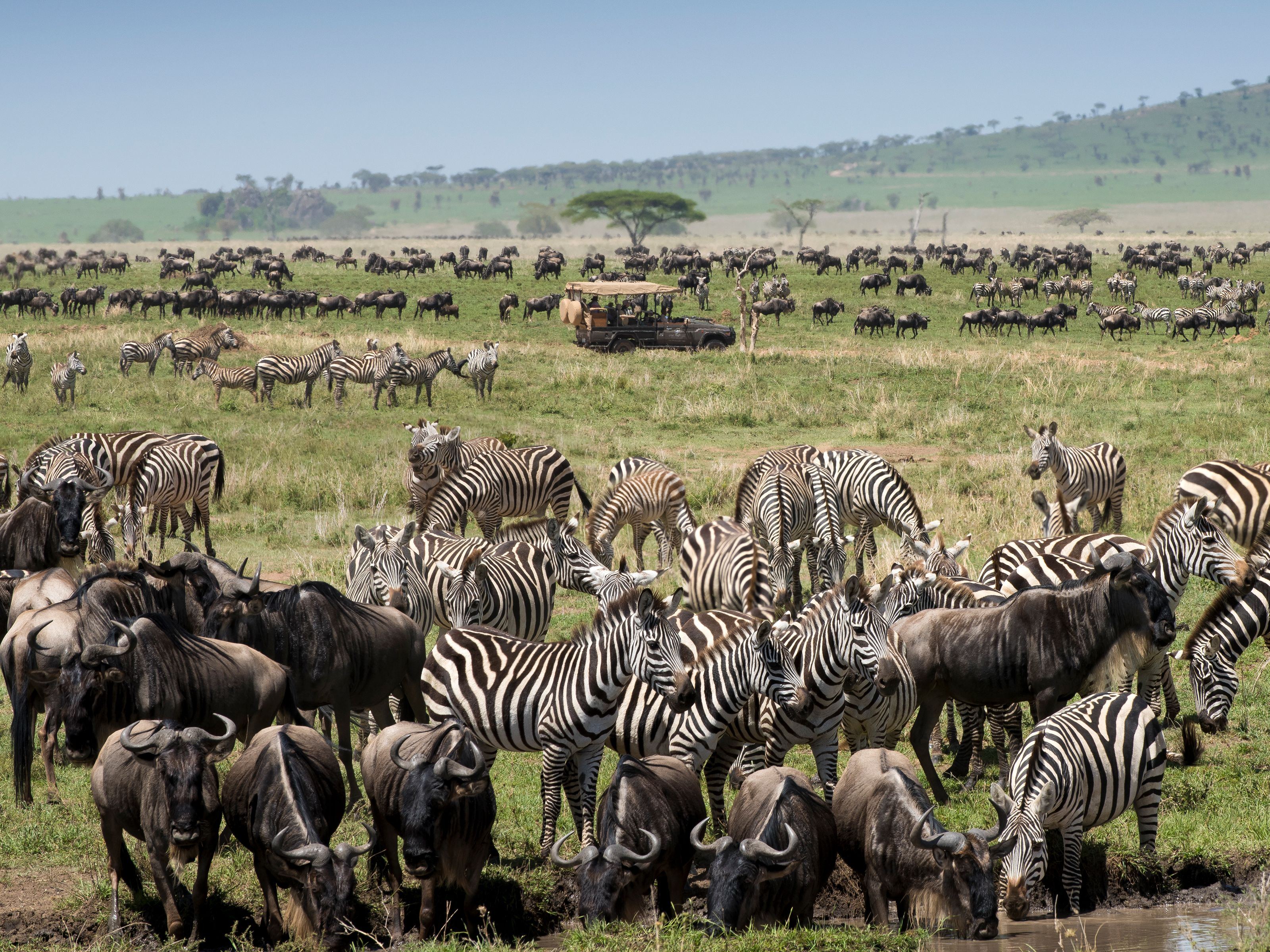 One Nature Nyaruswiga Serengeti en Serengeti