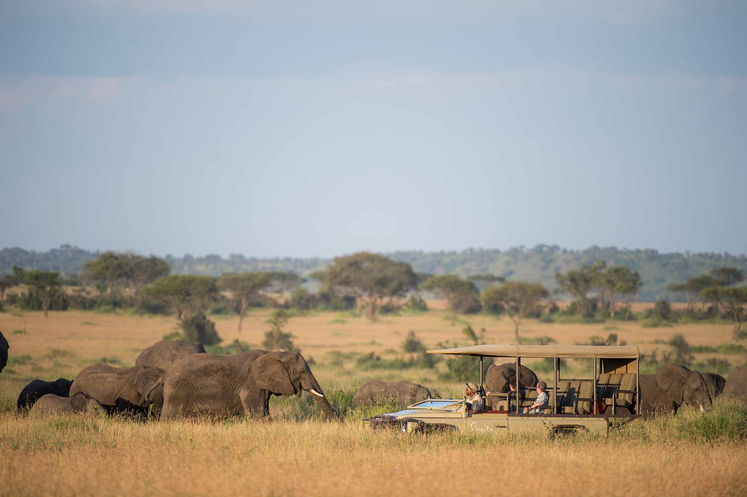 Serengeti