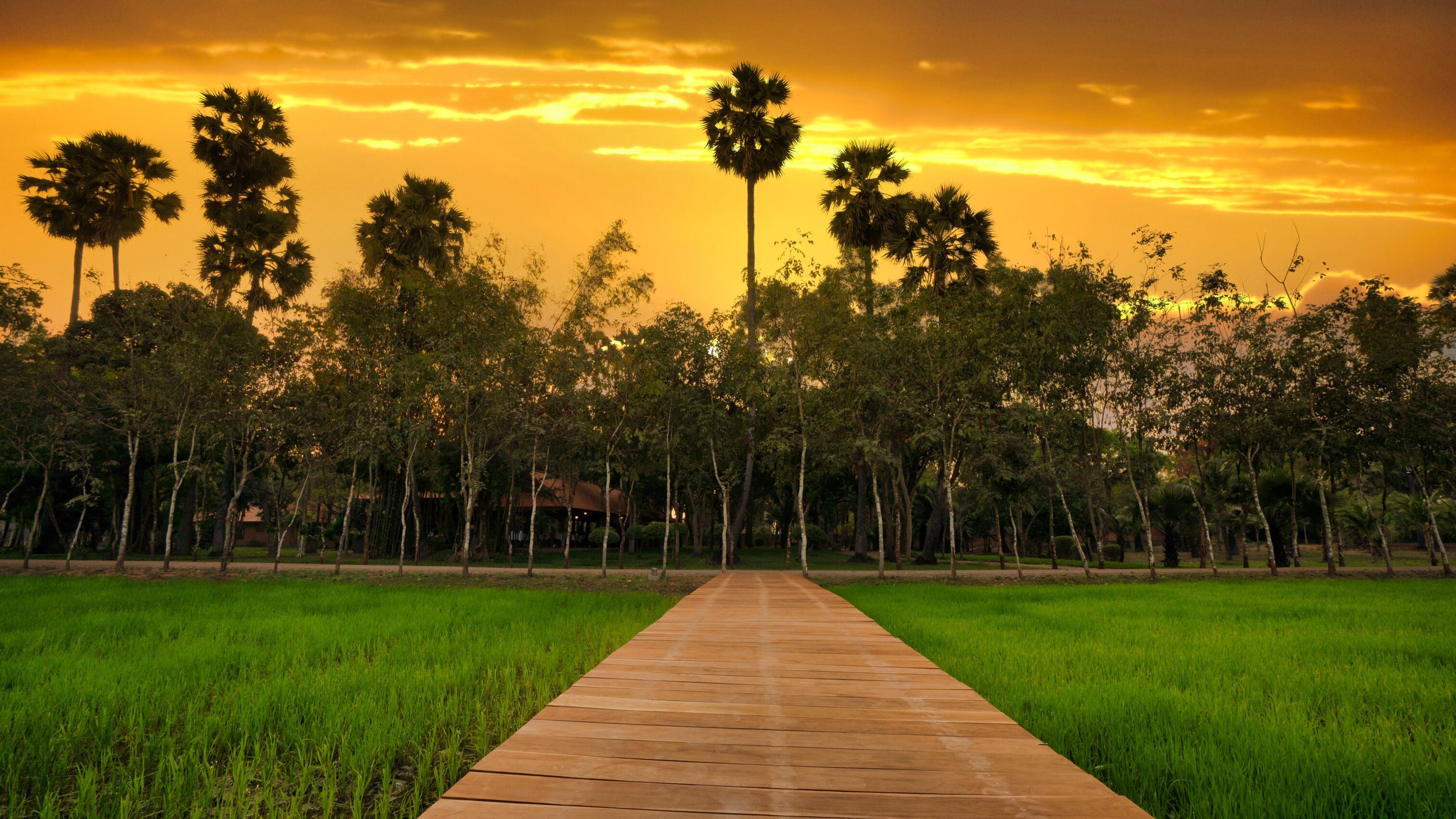 Mane Family Vacation en Siem Reap
