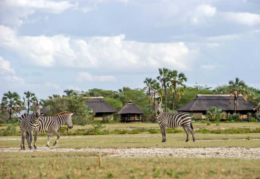 Maramboi Tented Lodge en Tarangire