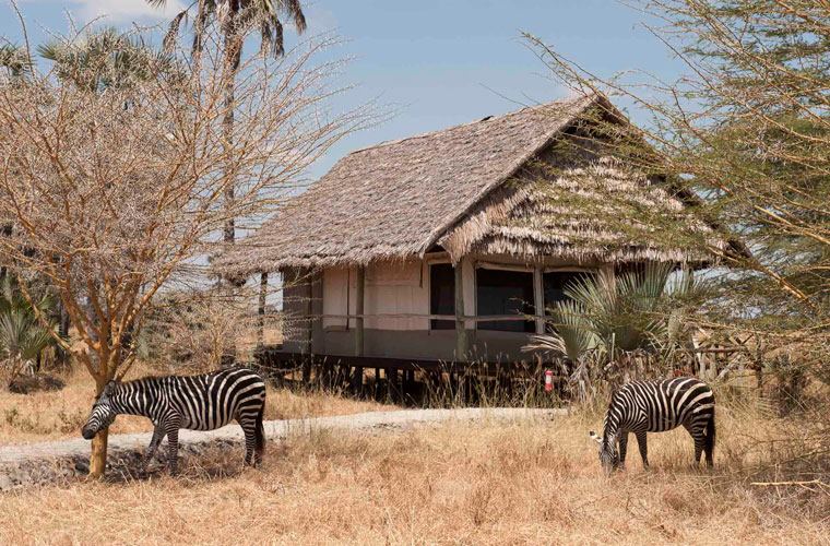 Maramboi Tented Lodge en Tarangire