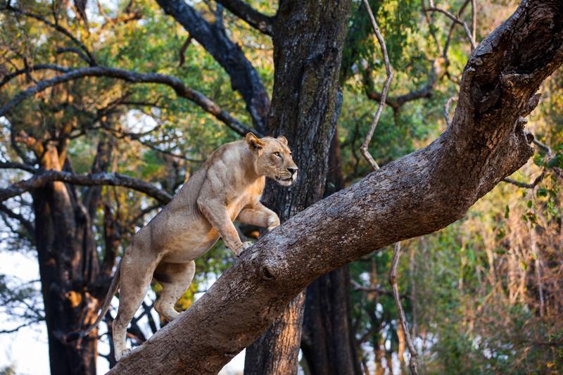 Imagen de viaje LAT.40