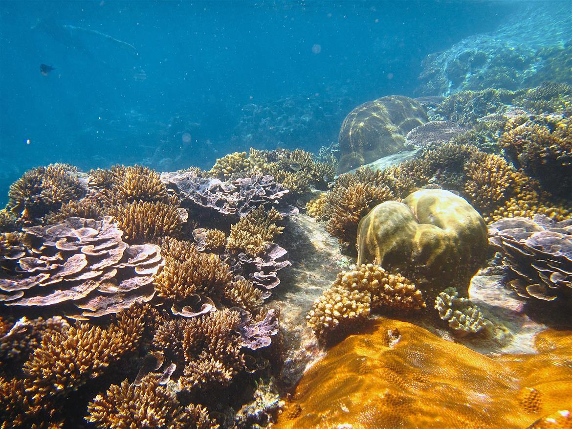 Japamala Resort en Tioman