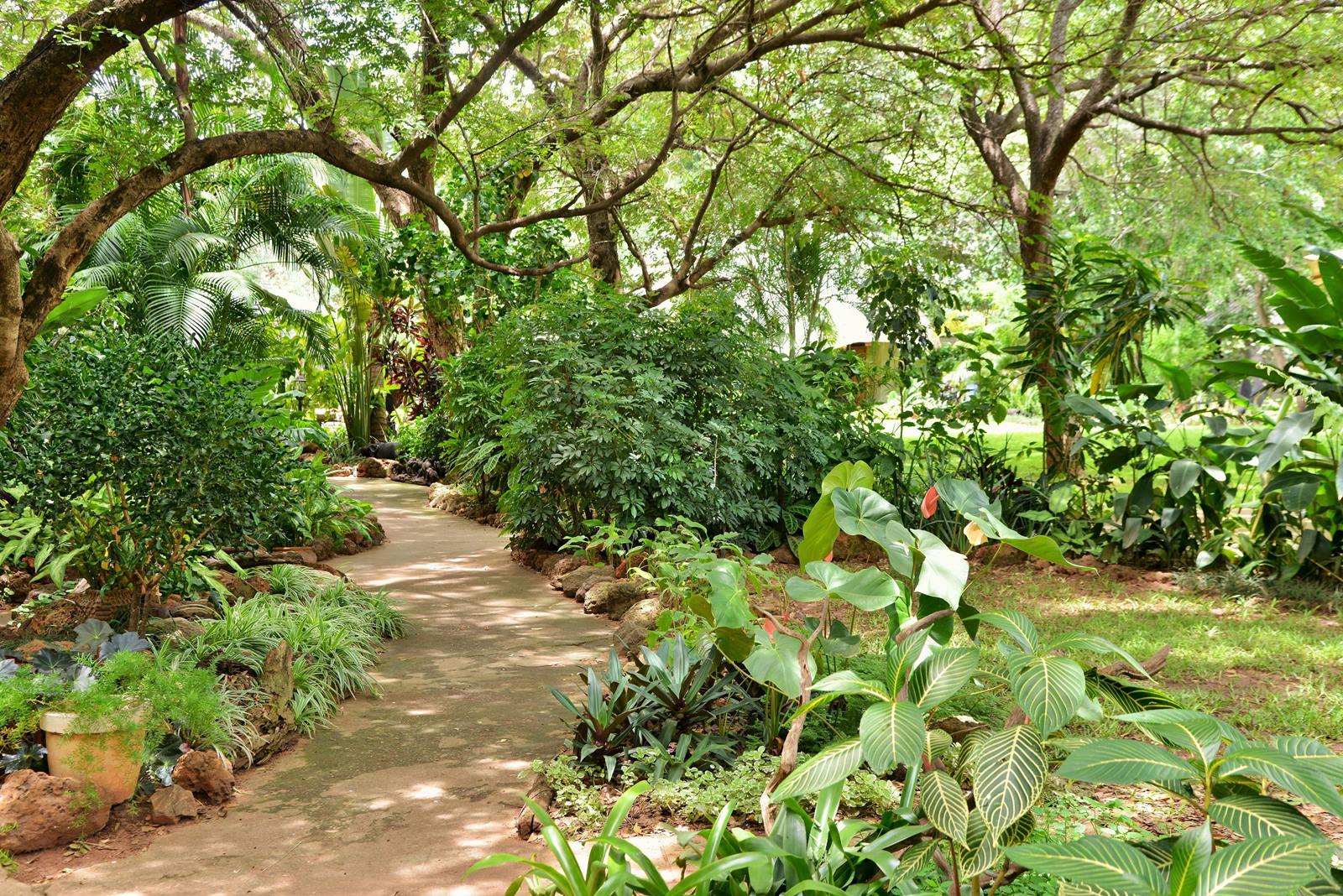 Bayete Guest Lodge en Victoria Falls