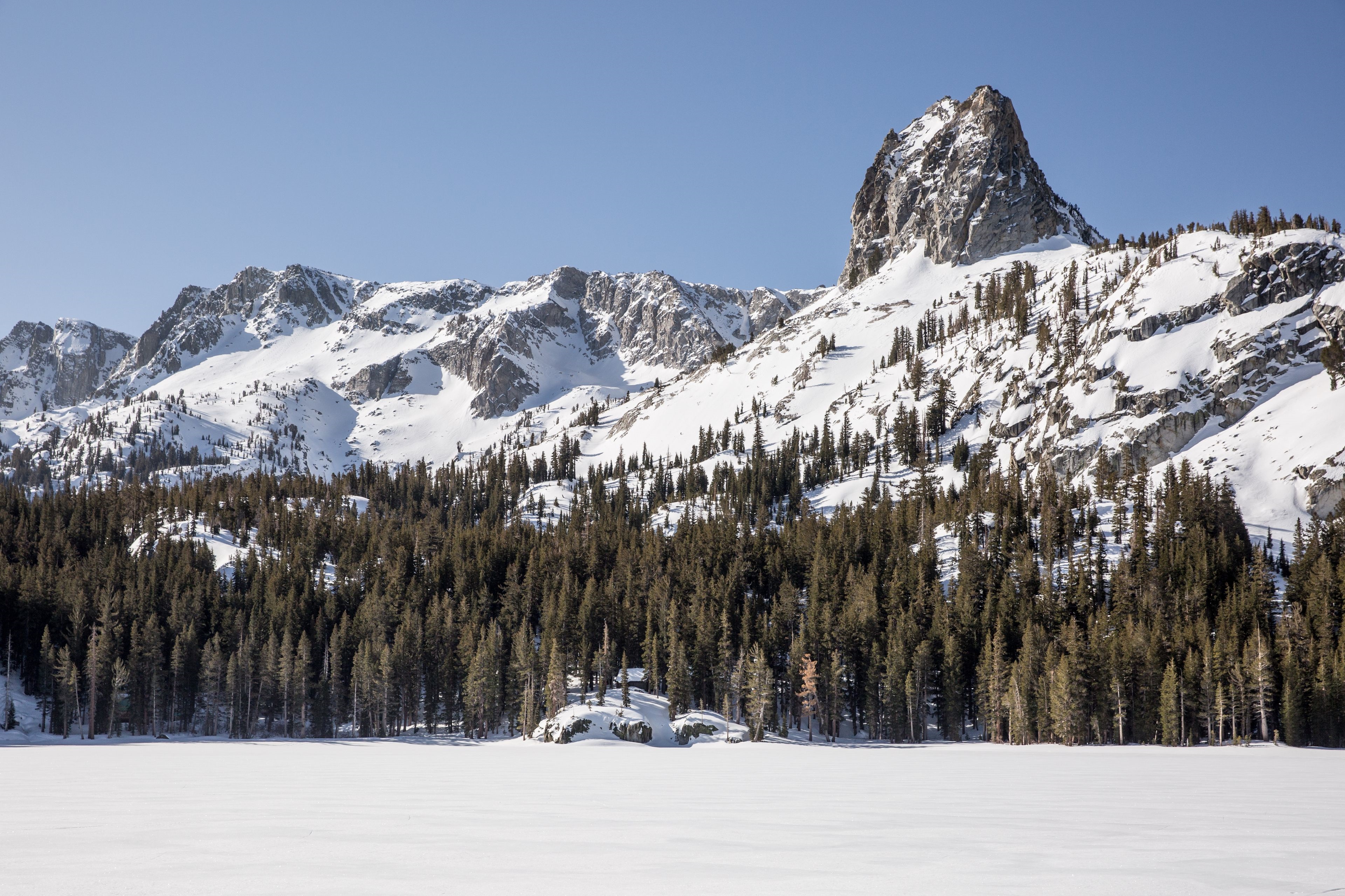 Tamarack Lodge and Resort en Yosemite 