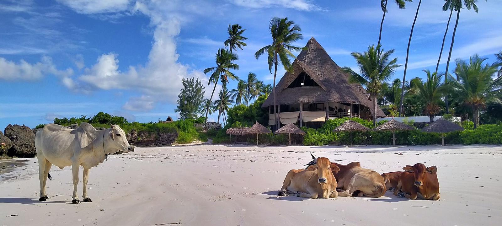 Sevi Hotel en Zanzibar