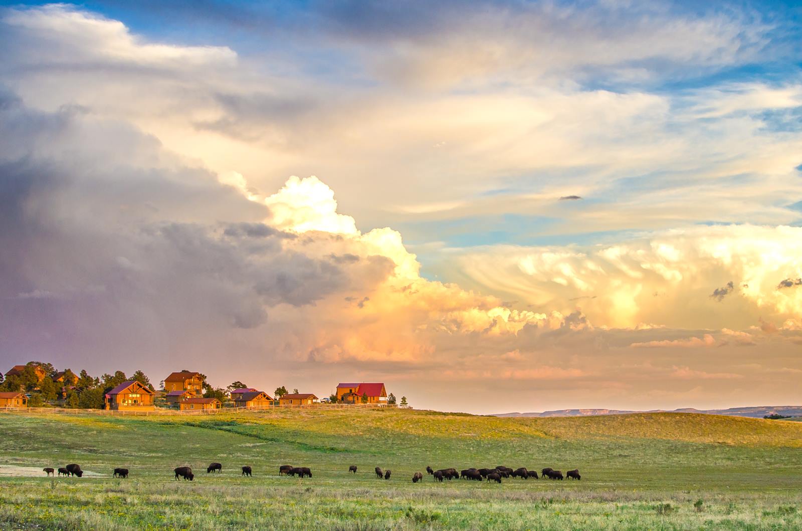 Zion Mountain Ranch en United States
