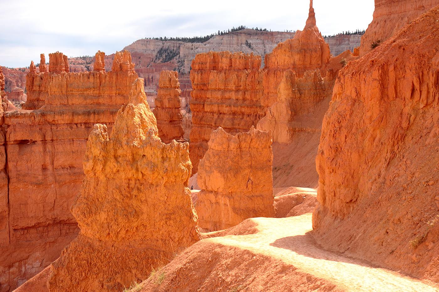 Zion Mountain Ranch en United States