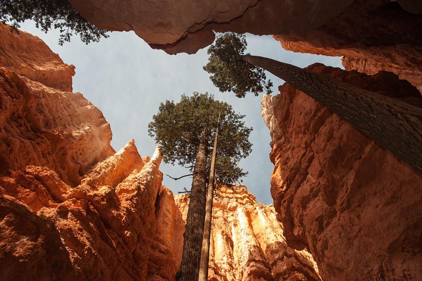 Zion Mountain Ranch en United States