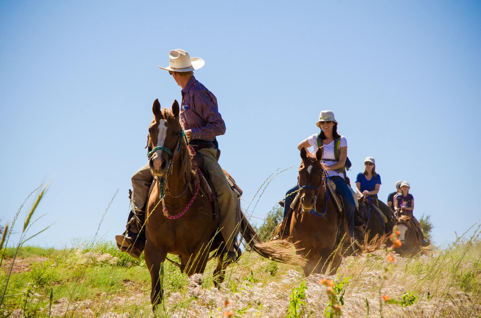 Zion Mountain Ranch en United States