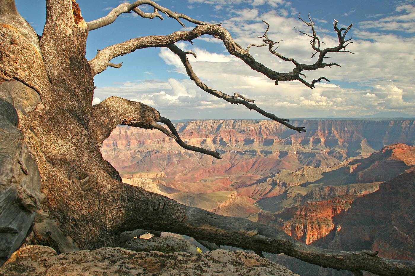 Zion Mountain Ranch en United States