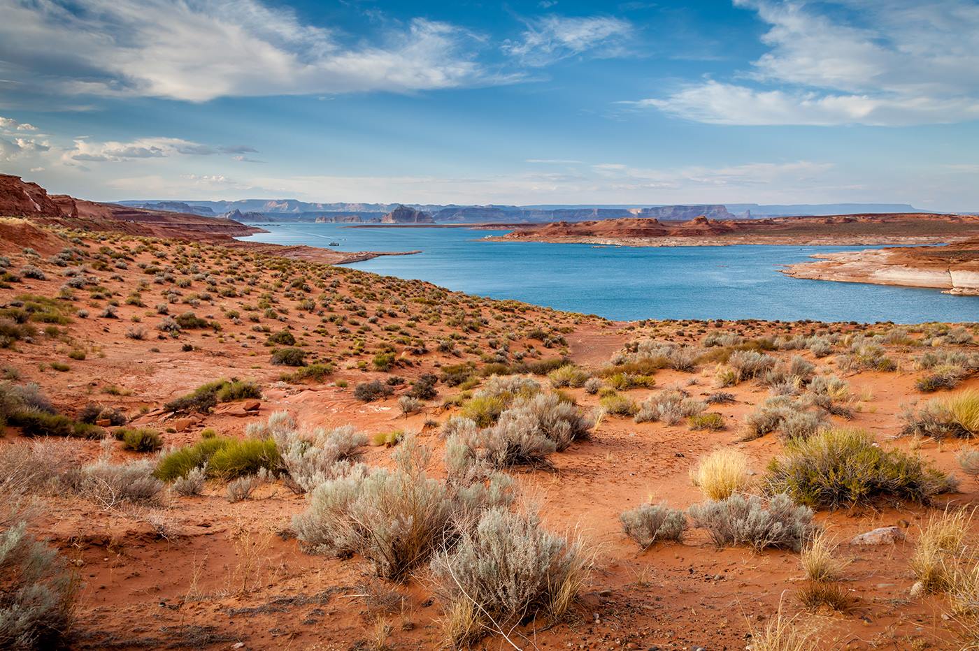 Zion Mountain Ranch en United States