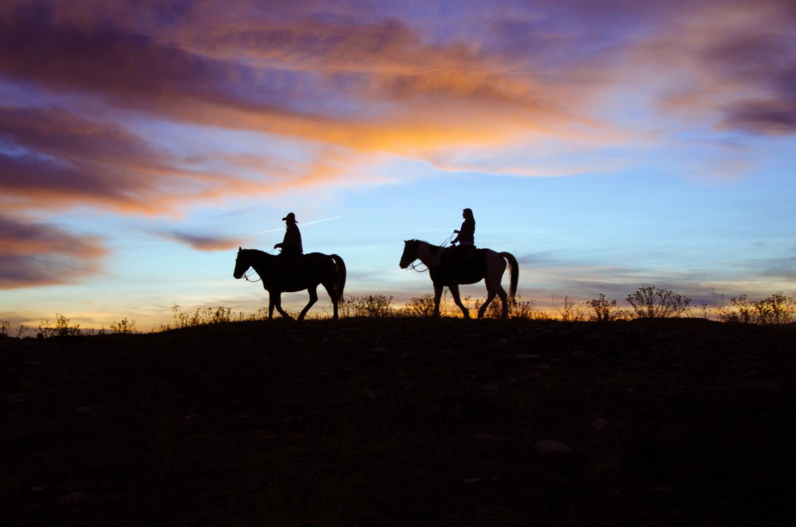 Zion Mountain Ranch en United States