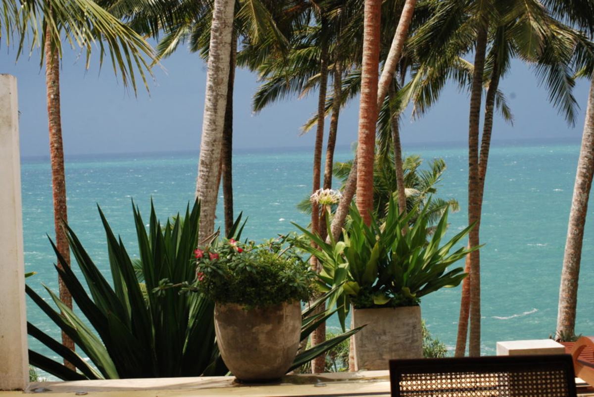 The Saffron House en Tangalle