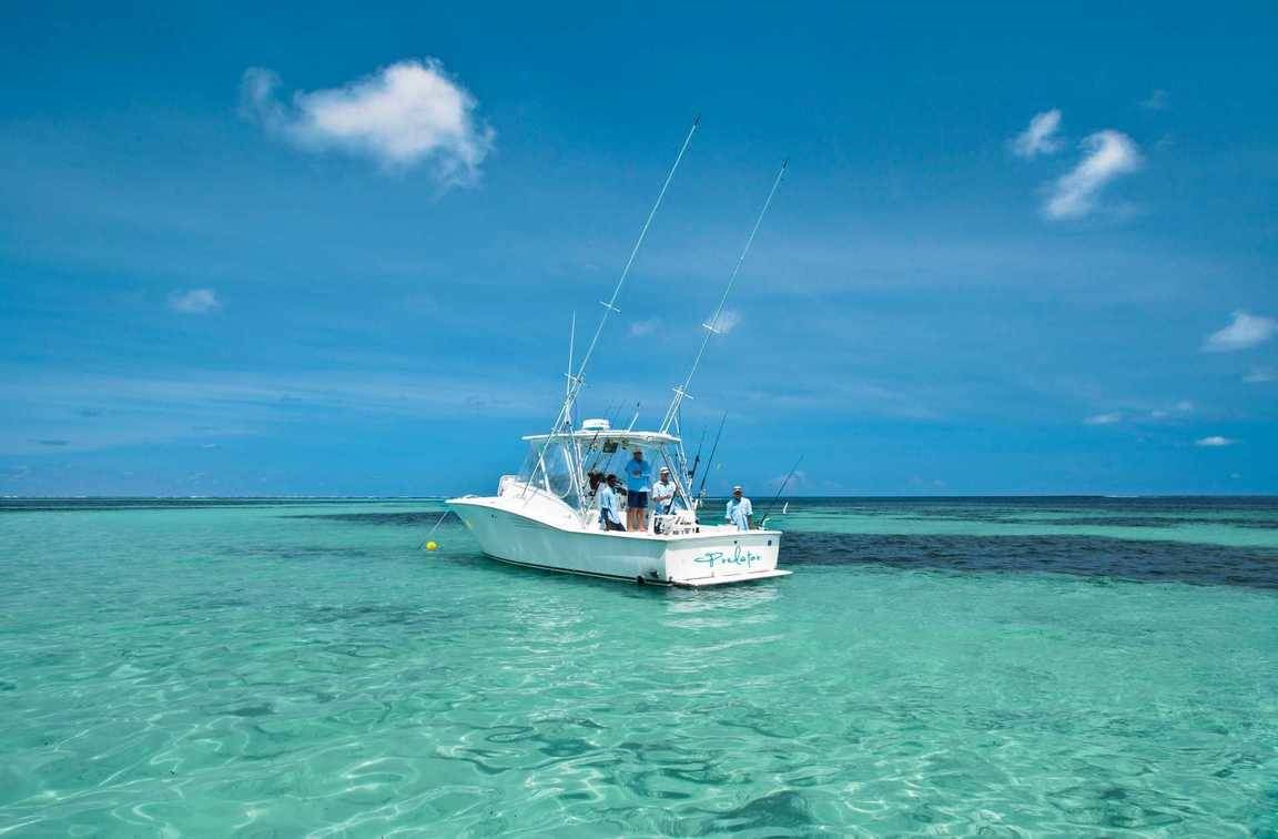 Alphonse Island Lodge en Alphonse Island