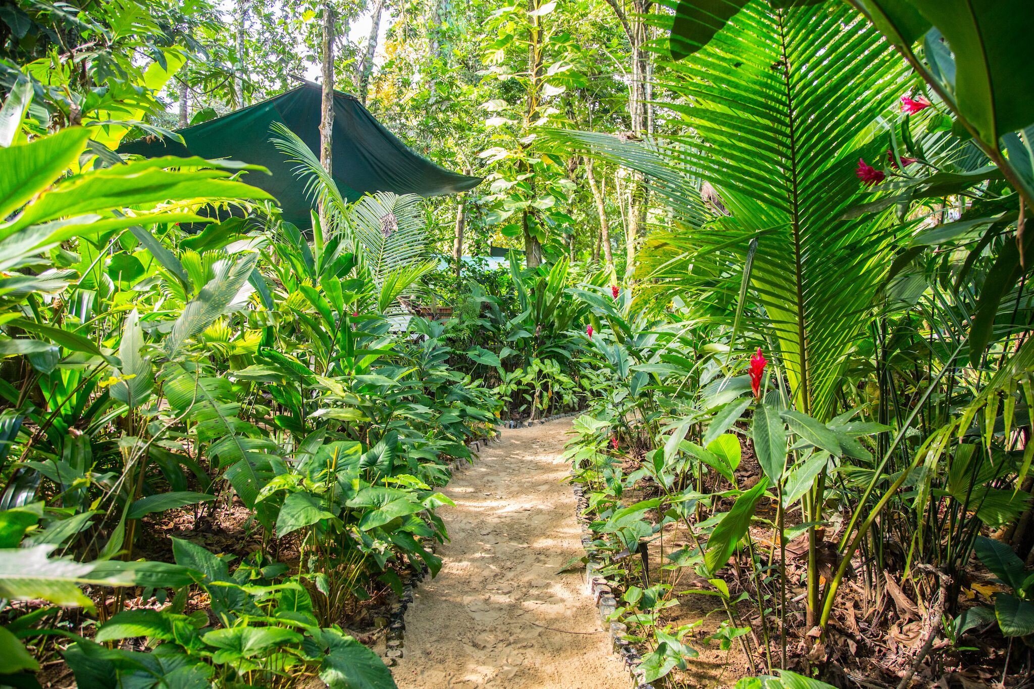 Palmar Beach Lodge en Bocas del Toro