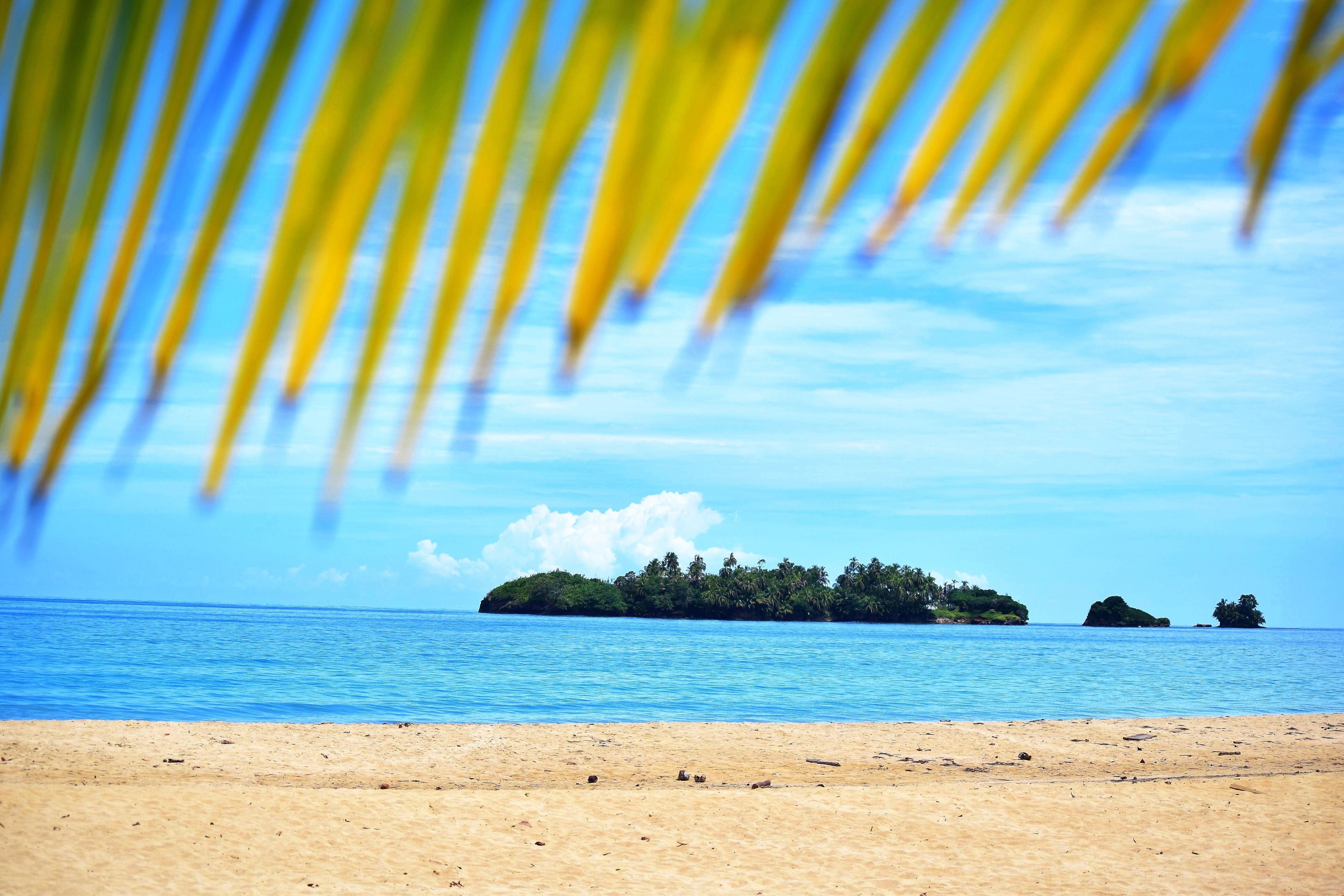 Palmar Beach Lodge en Bocas del Toro