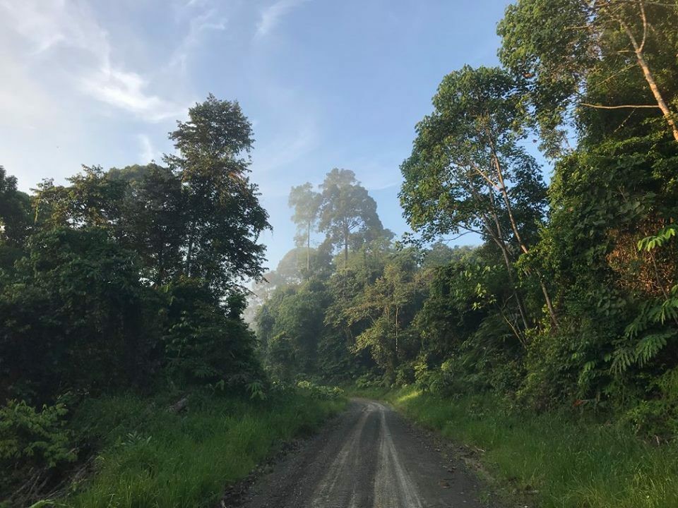 Deramakot Forest Reserve