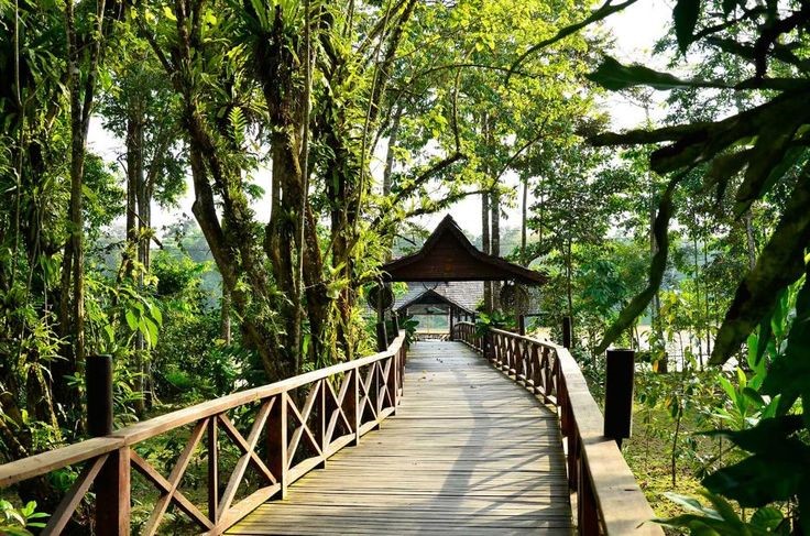 Sukau Rainforest Lodge en Malaysia