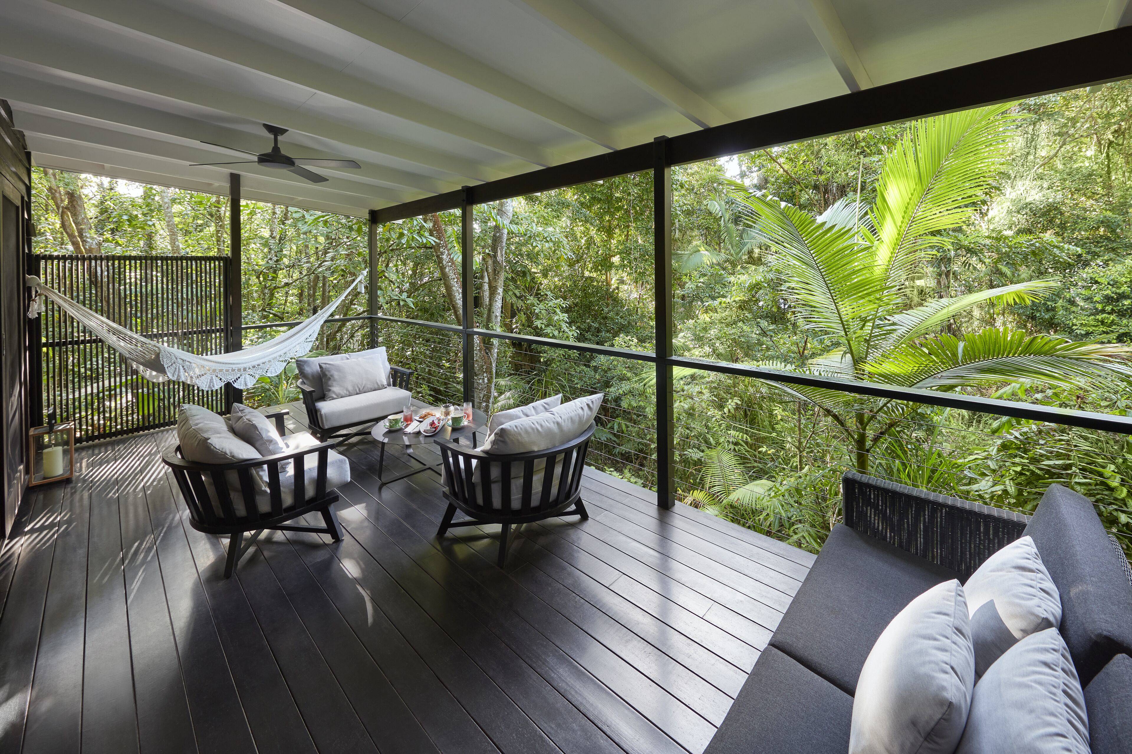 Daintree Forest
