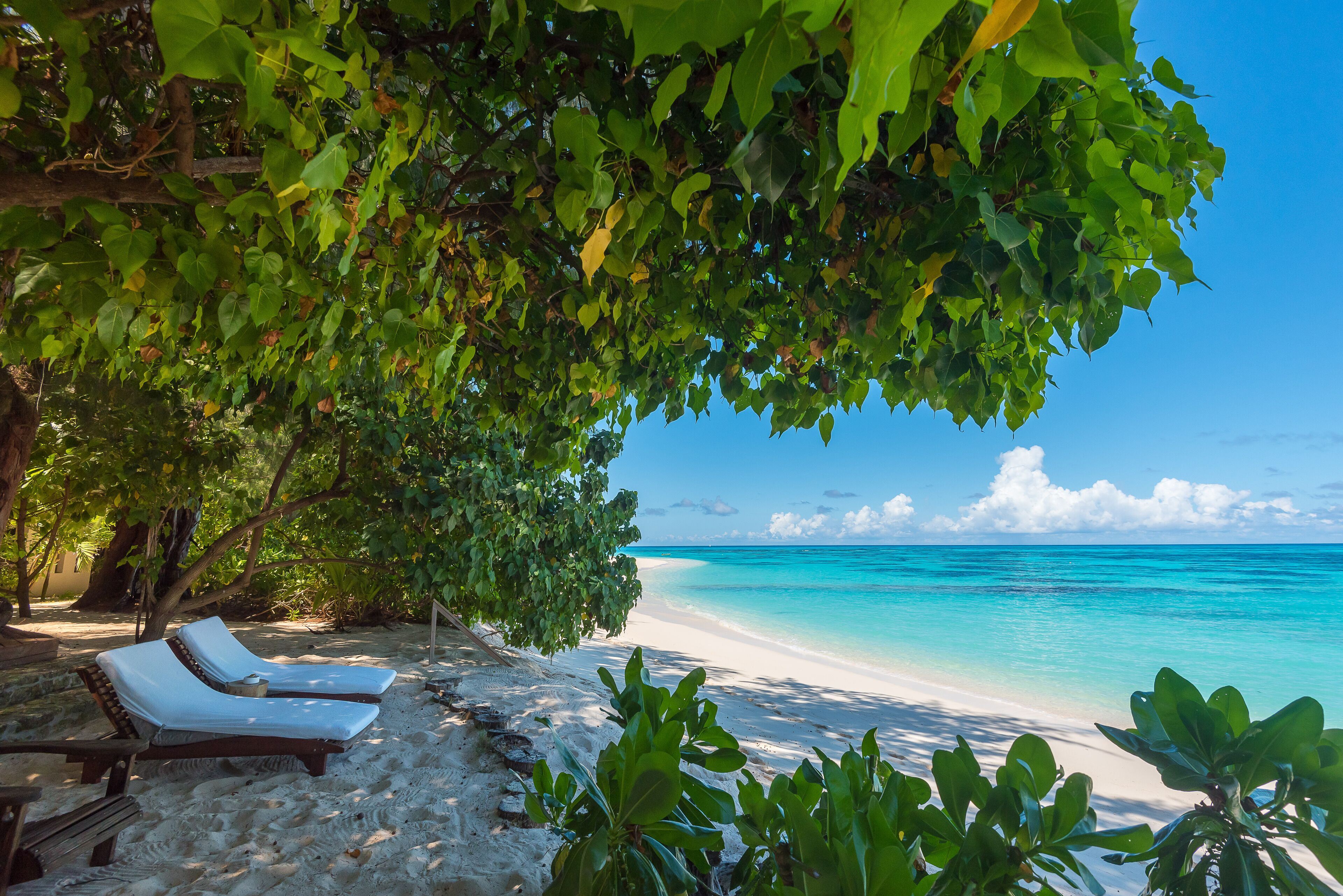 Denis Island