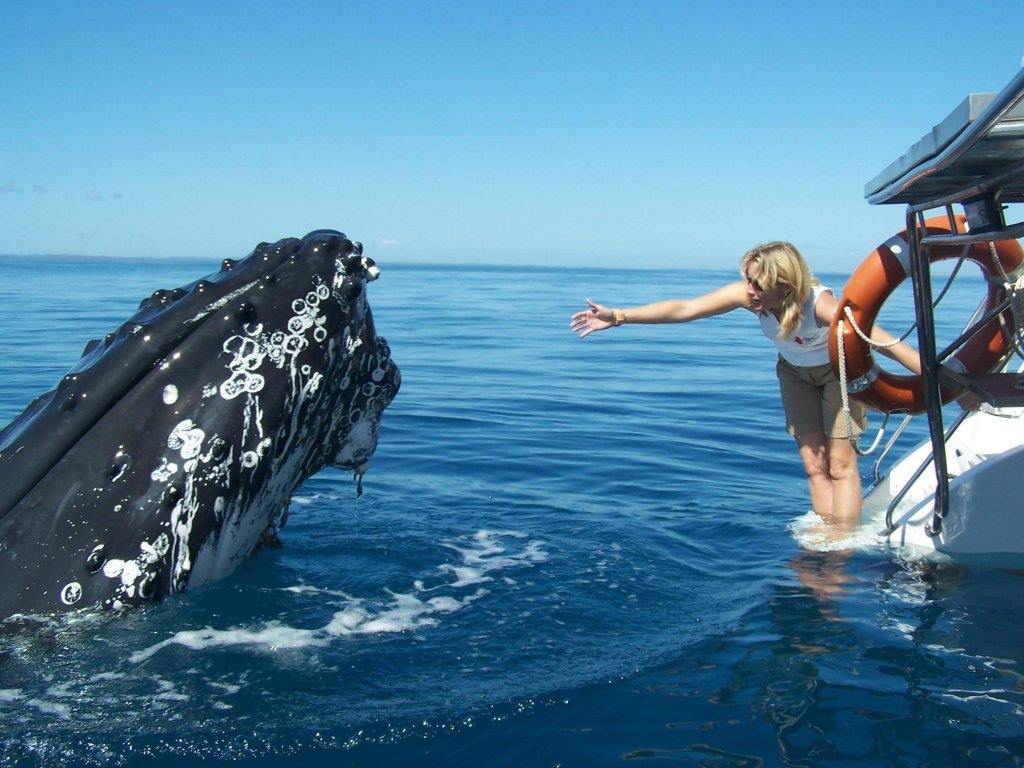 Kingfisher Bay Resort en Australia
