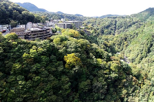 Ryokan Hakone Ginyu en Hakone
