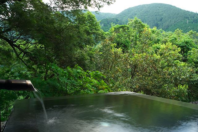Ryokan Hakone Ginyu en Hakone