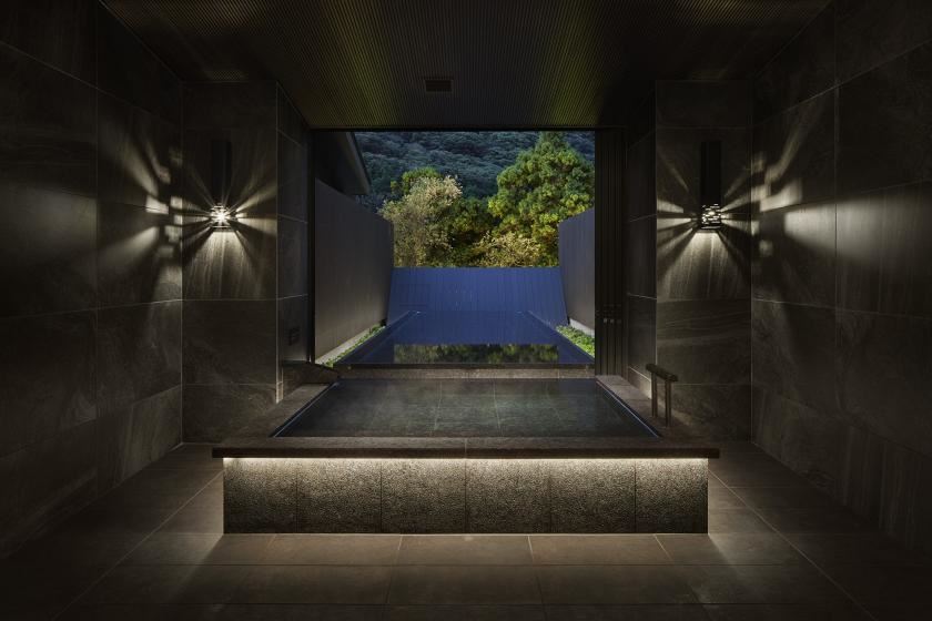 Odakyu Hotel Hatsuhana en Hakone
