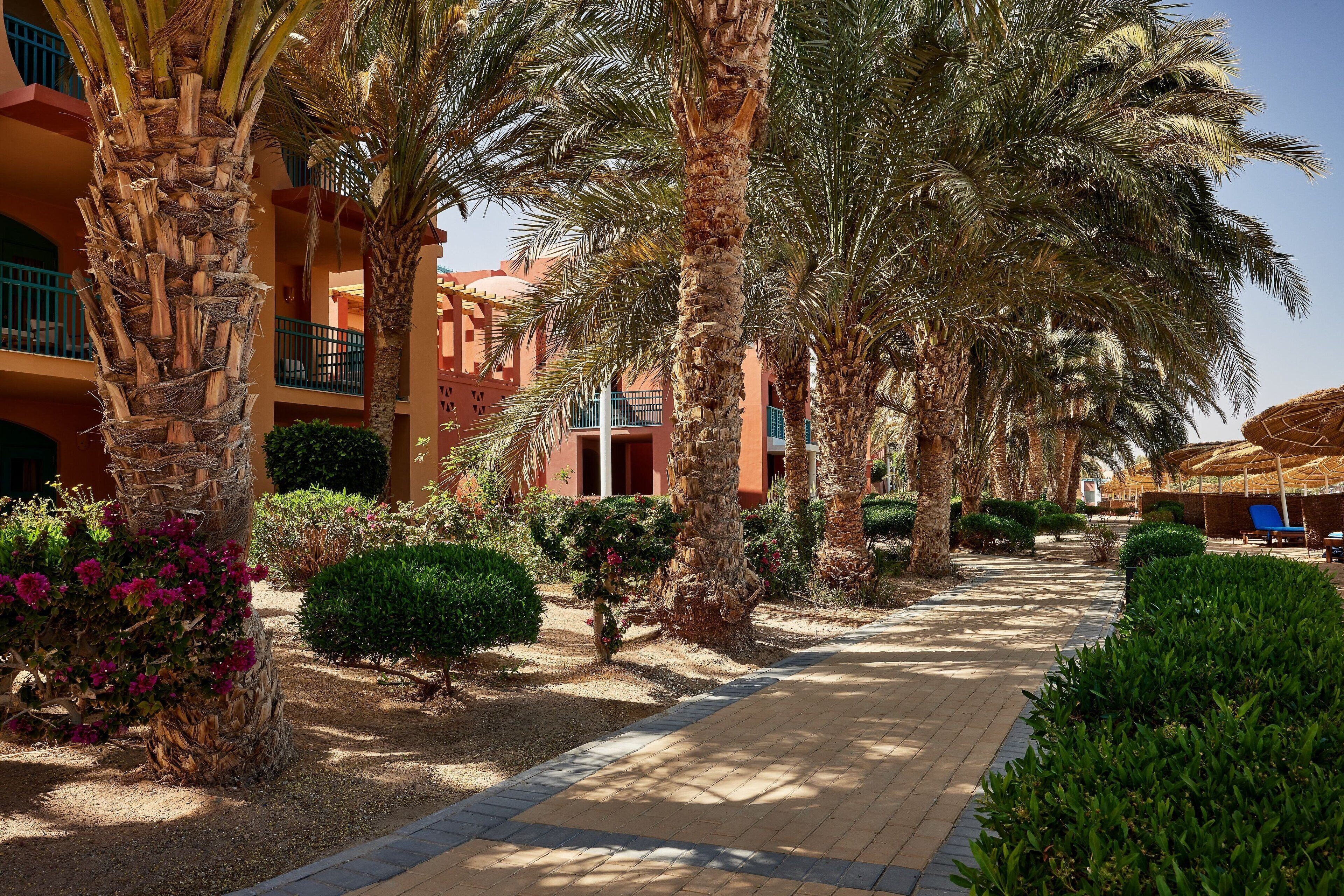 Sheraton Miramar Resort El Gouna en Hurghada