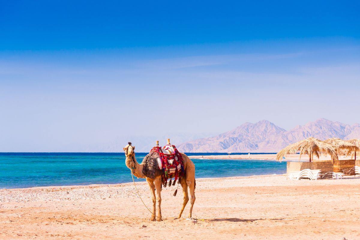 Hurghada | LAT.40