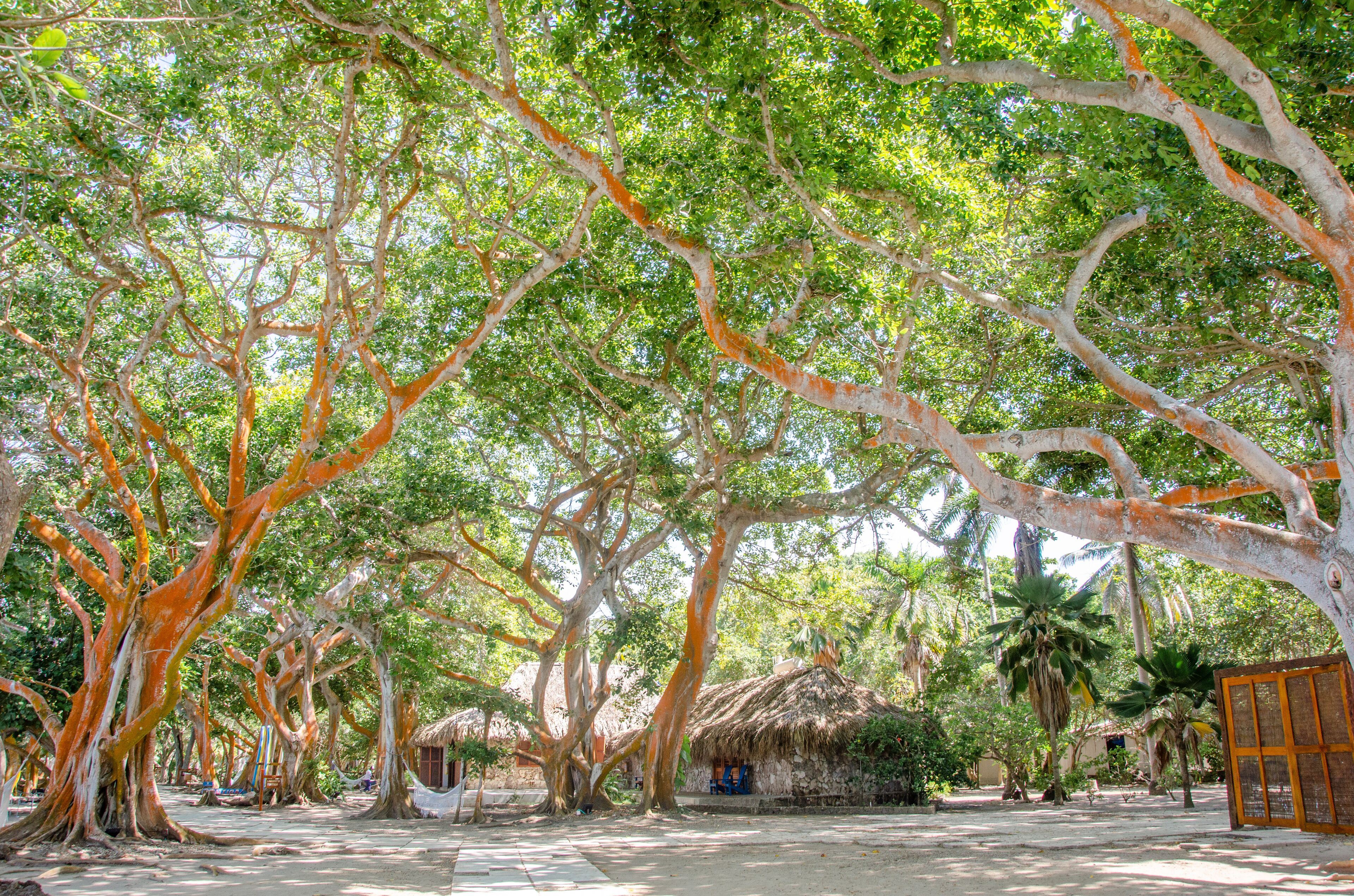 Hotel San Pedro de Majagua en Islas del Rosario