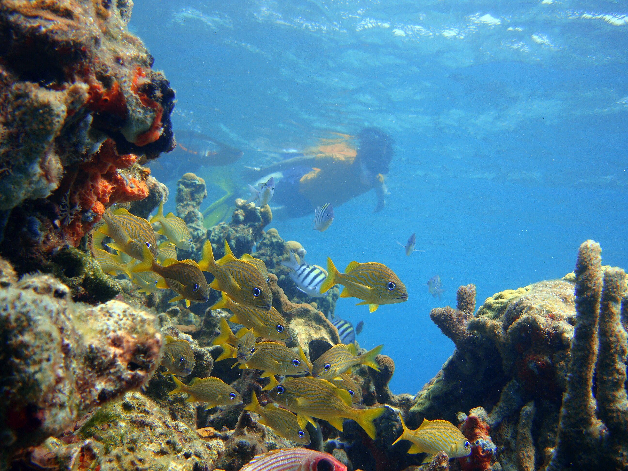 Hotel San Pedro de Majagua en Islas del Rosario